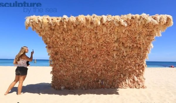 澳洲海滩惊现“芭比海浪”