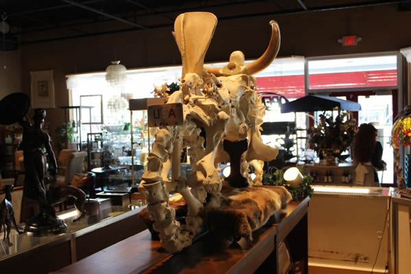 美国艺术家利用动物遗骸打造“白骨摩托车”