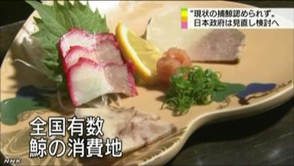 日本一料理店的鲸鱼刺身