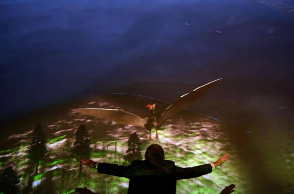 一名研究人员在纽约美国自然历史博物馆中模仿翼龙飞行