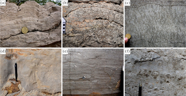 ֵ͵΢̼ңaʯbʯc֦ʯdһʯeʯfʯ