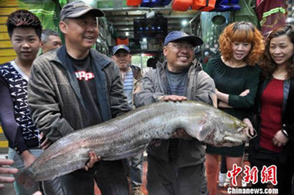 ���㰮������ˮ�������Լ1.27���ش�32�ﺱ��Ұ������