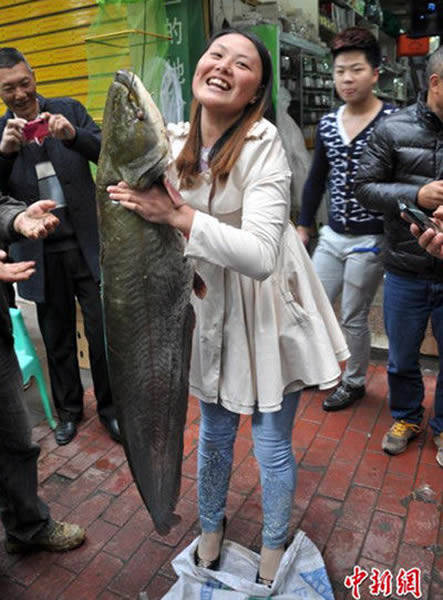 ���㰮������ˮ�������Լ1.27���ش�32�ﺱ��Ұ������