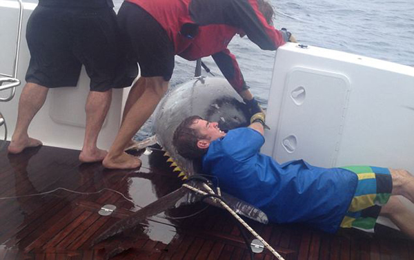 ������56��Ů��򲶻�411.6ǧ��̫ƽ��������ǹ�� ����������¼