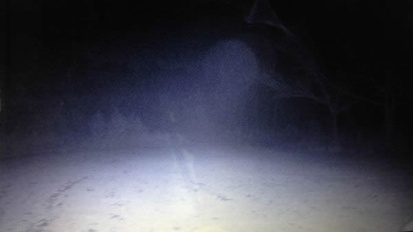 美国红外线摄影机拍野鹿竟然拍到树林中的UFO