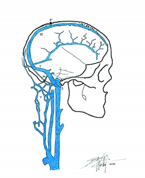 ��ɢ������˵��ͼʾ����ɫ�����ǳе��¶ȵ��ڹ��ܵĵ��������������硣