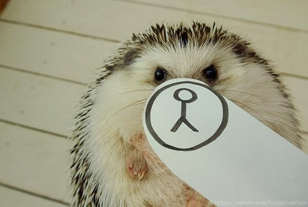 �ձ�С���MARUTARO�����˶�� ���ȱ��鱬������