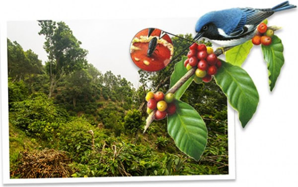 оʾľ뿧ȹľͬʱҲ߿Ȳ