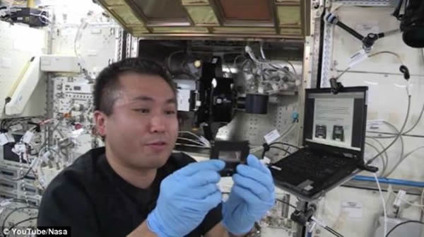 �Ա�����һ��5��ǰ��Chujohimeseigan-zakura�����ӱ������һ���������229Ӣ��(Լ��370����)�Ŀռ�վ�������һ�����ǿռ�վ��ָ�