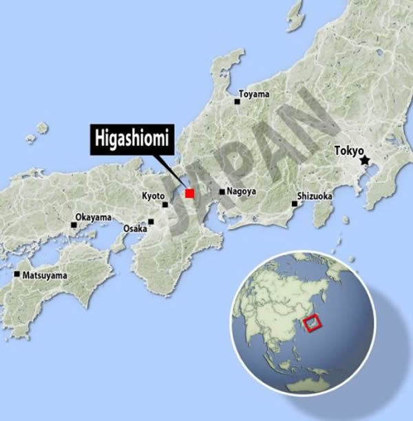 ��ɫ����λ�ñ��Ƕ�������ӵ��1250����ʷ��ӣ����Chujohimeseigan-zakura�����ڶ�������һ��������