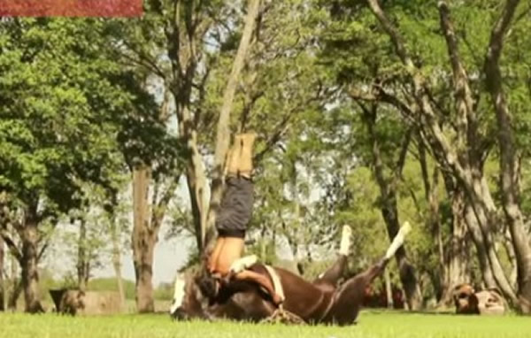 阿根廷男子自创“人马瑜伽”