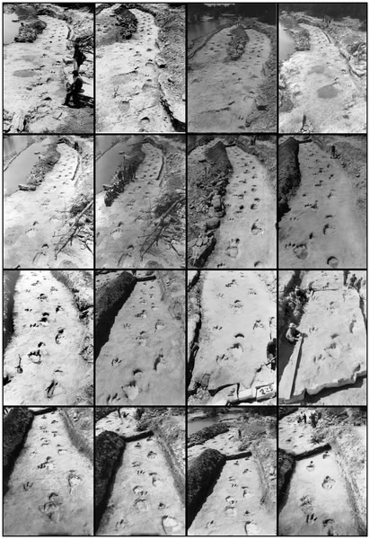 用3D模型研究恐龙足迹
