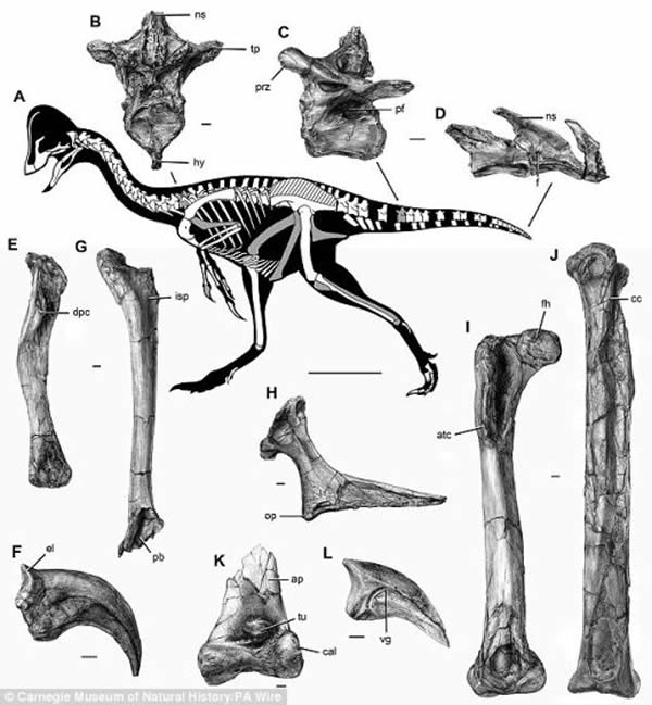 оԱ3ֻʯƴһ𣬷ЩֿĹպγһĿǼܡ