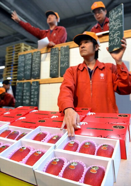 高级成熟芒果“太阳之子”拍卖