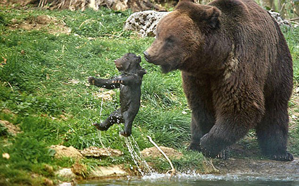 ��ʿ����԰���¹����ٶ��˺�С�ܾ�Ȼֱ�ӽ���������