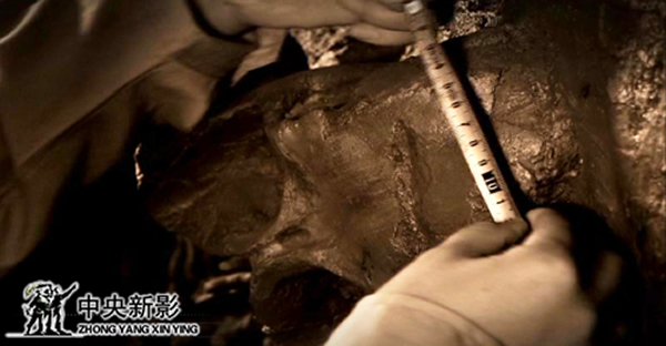 CCTV��¼Ƭ������֮������������Ӱ������Ƚ�