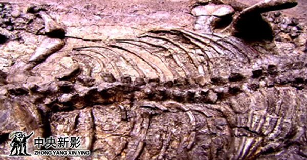 CCTV��¼Ƭ������֮������������Ӱ������Ƚ�