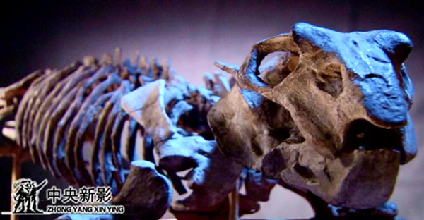 CCTV��¼Ƭ������֮������������Ӱ������Ƚ�