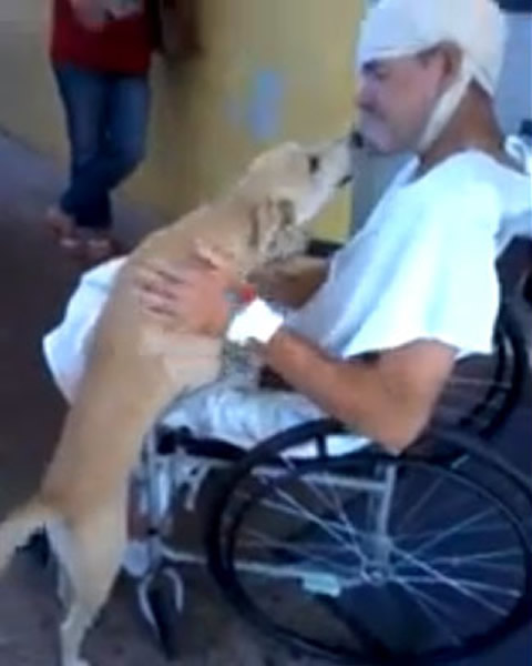 ����סҽԺ �����׿�˹Ȯ�ǻ�ҽԺ�ſ�8��ȴ�