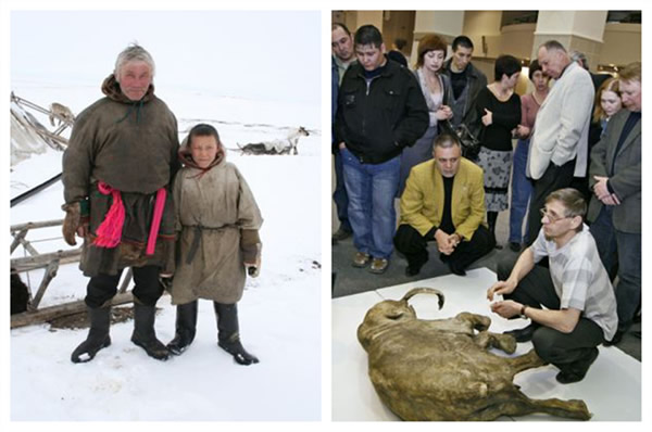 驯鹿人尤里·胡迪及其11岁大的儿子在沿着尤瑞贝河捡木柴时发现了柳芭。随后,柳芭被送往俄罗斯谢曼诺夫斯基(Shemanovsky)博物馆。