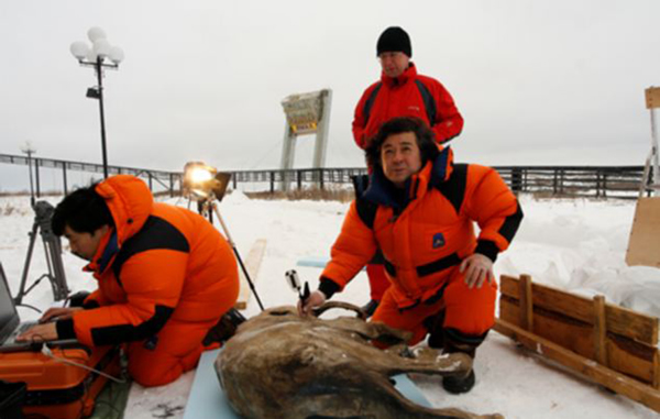 柳芭化石的完整性令科学家们感到震惊。