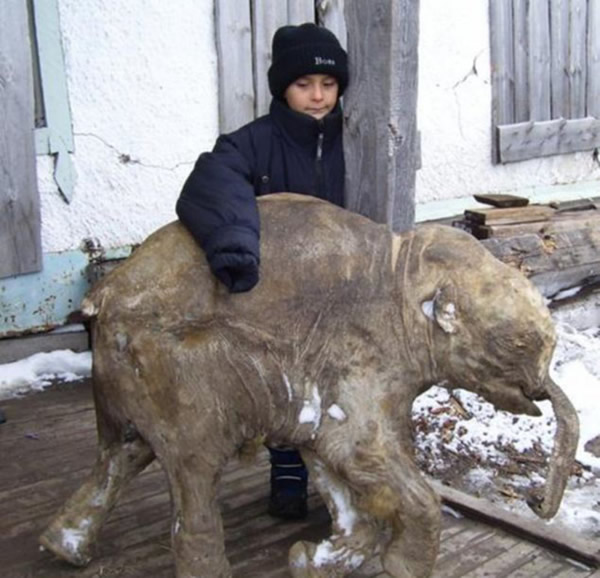 柳芭的发现完全是一场意外。