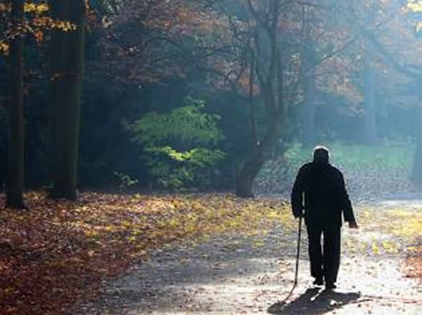 ÿ������һ���ľ���Ϳ�����߷ι���