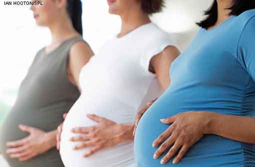 母体有着较高的身体质量指数(BMI)与胎儿死亡、死产及婴儿死亡风险的增加有关