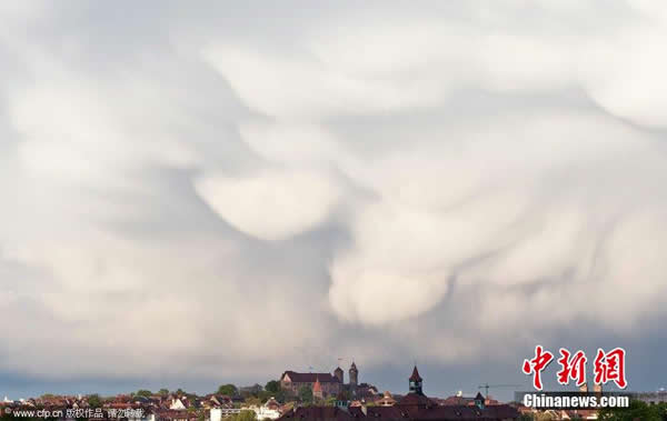 �¹�Ŧ�ױ�����������Ʋ�