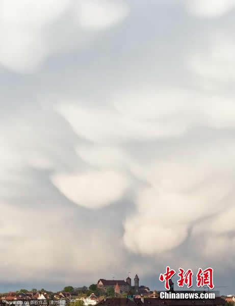 �¹�Ŧ�ױ�����������Ʋ�