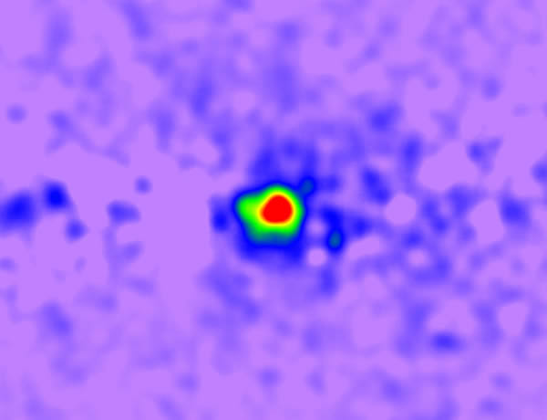 ���ְ���������������עĿ���ź�