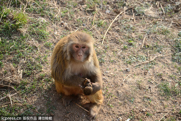 ɽϪA԰һֻĸѲ׺ʬ岻벻