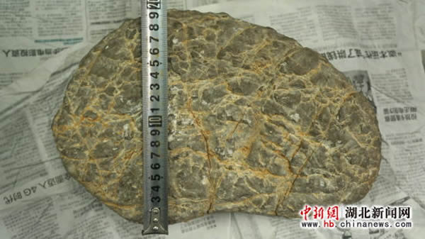 黑龙江男子声称有收藏多年“野人脚印化石”