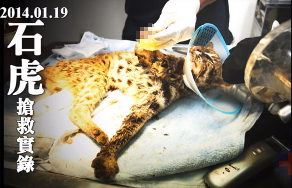 ʯ����Ϣ������̫����Ϊ��ɵ���в