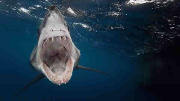 ���о���Ϊ���㲢�Ǳ�����Զ�����������ġ��ʯ��