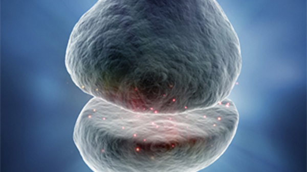 在大脑中关闭抑郁症?