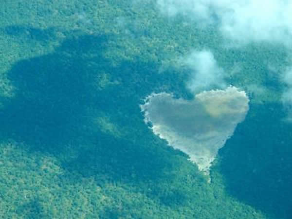 ��Īɣ�ȿ˱�����ɭ��