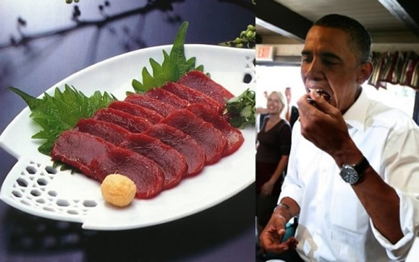 日本政客提议请奥巴马食鲸鱼肉