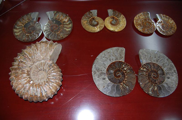 �Ͼ����ز�����Ƴ����Ĺ����ﻯʯ������