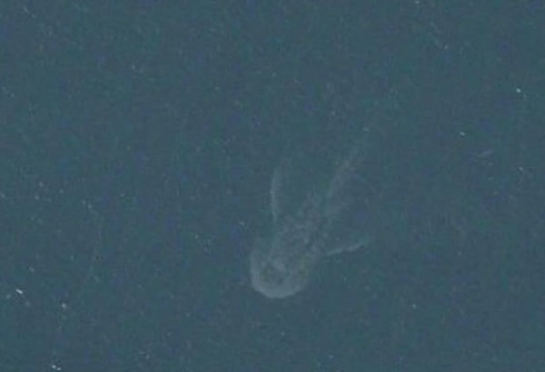 ����Ӣ�����Ӵ�iPhone���ǵ�ͼAPPӰ���з���������˹��ˮ����Ӱ