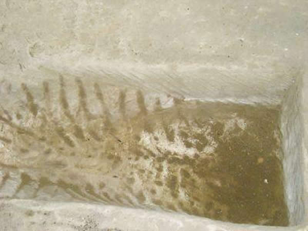 传说中可以让人返老还童的“蜕皮槽”