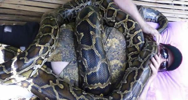 �ո������ӿ�4�������������䶯����