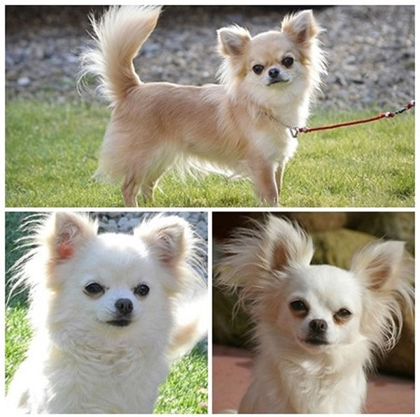 ���С��(��)����ĸ��(����)������ĸ(����)ȫ�����˵�ȥ��