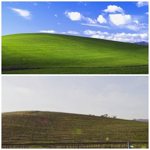 奥里尔拍下照片(上)时,不知它将来竟是一张家喻户晓的相片。图下为微软制作特辑时,回到纳帕谷的情况。