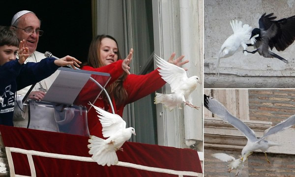 ������ź�ƽ��ʱ�����ӷֱ�����ѻ����Ÿ������Сͼ����ɱ��