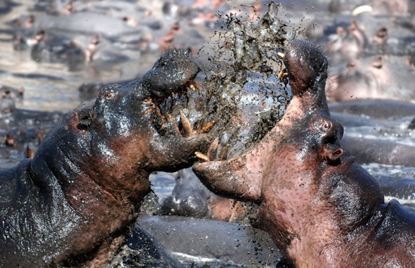 ̹ɣǵĿάҹ԰ͷش5ֵԺչҲɱ