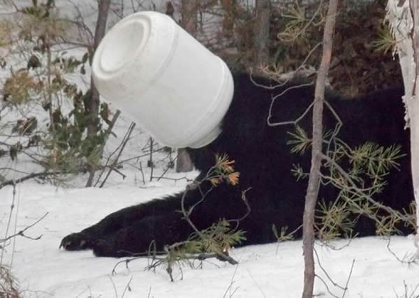 ���ô󰲴���ʡ���������Դ����Ͱ������