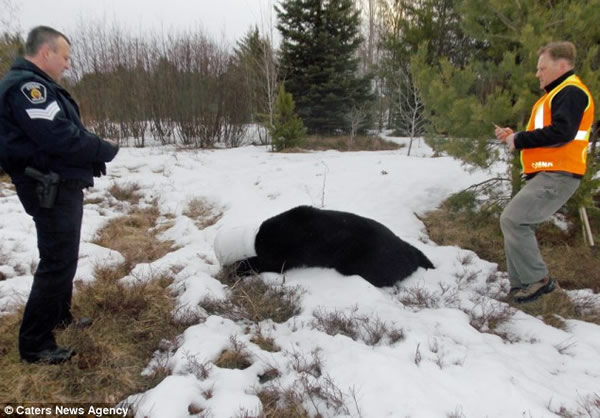 ���ô󰲴���ʡ���������Դ����Ͱ������