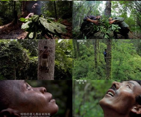 ���񷢲���ͼ��֤��Ϯ֮˵������ΪBBC��¼Ƭ����Ϊ�����2����