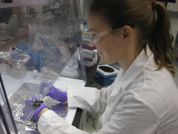 ʷ�ܷ�(ͼ)���ڸ���̫������ѧ����ʵ�����У�����ʯ�����о���